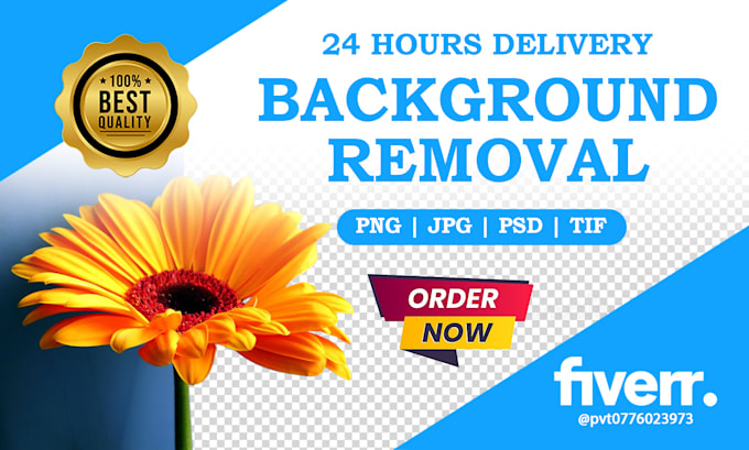 do best photos background removal
