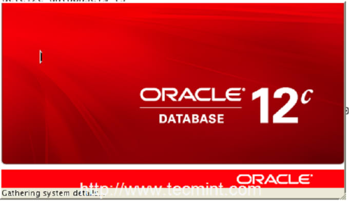 develop and customize oracle apex applications for you