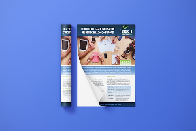 design a professional corporate business flyer and brochure
