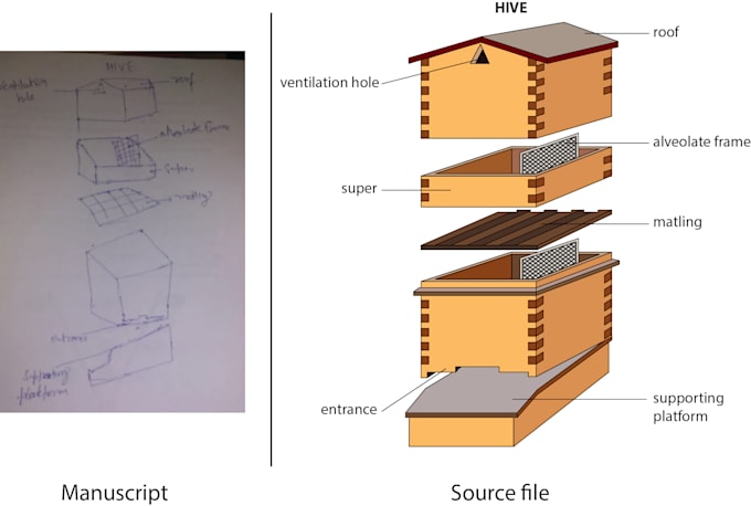 create line art or technical vector drawing