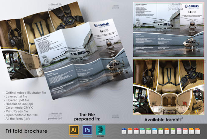 design a professional flier or brochure for you