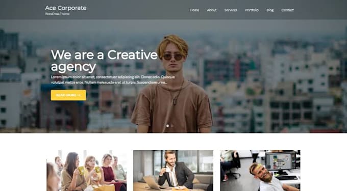 build a professional  wordpress website or blog