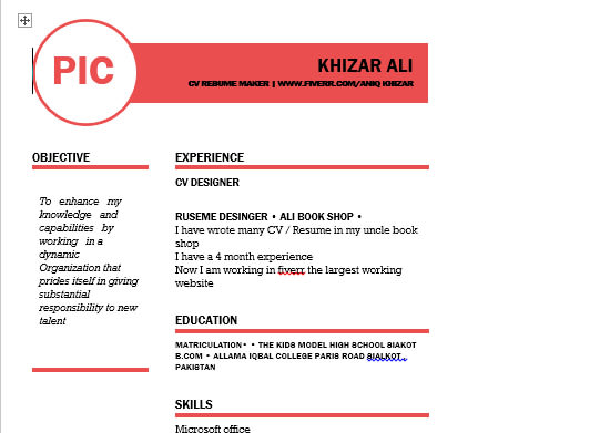 write professional cv,resume  for you
