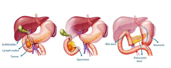 create medical illustrations for you