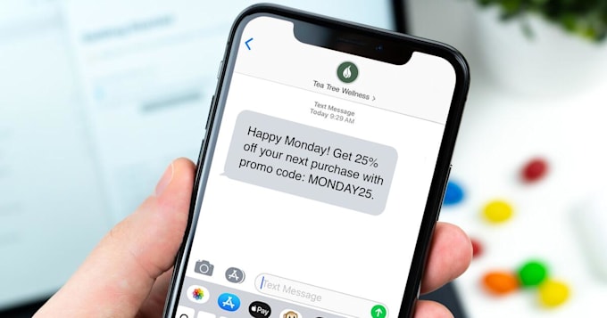 make SMS or text broadcasting or marketing website bytwilio