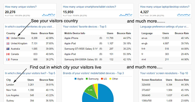 send USA niche targeted organic traffic from google