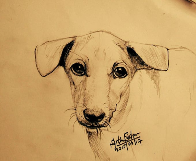 Draw Realistic Pencil Sketch Portrait For Gift By Pcgraphiczz