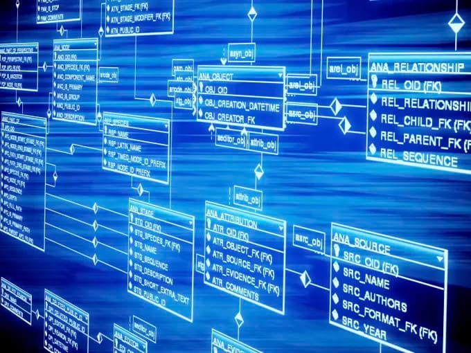 design sql database,queries and projects