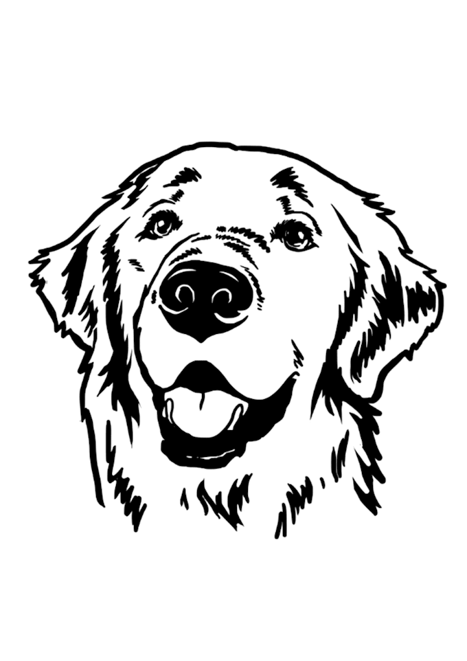 create your image in stencil or silhouette