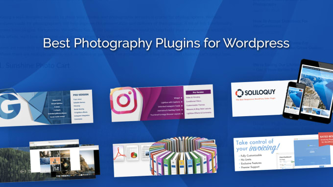 do wordpress theme customization service