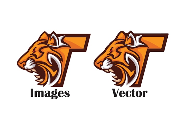vectorise logo,draft,convert image to vector in 3h