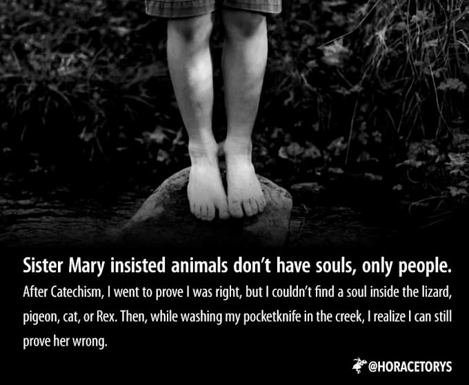 Write you an original horror story by Horacetorys Fiverr