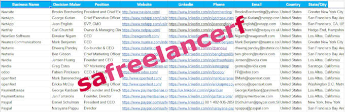 be your virtual assistant for data entry, copy paste, excel