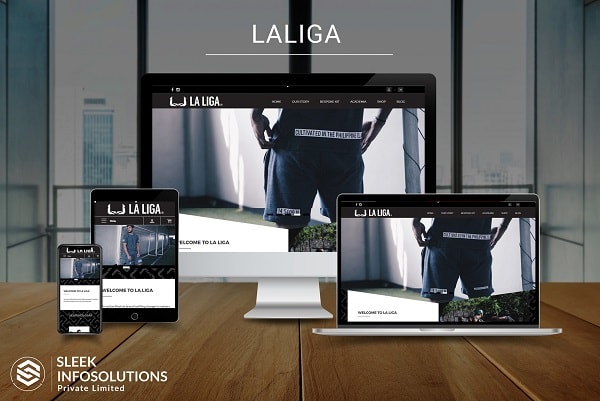 create a shopify or magento based ecommerce website