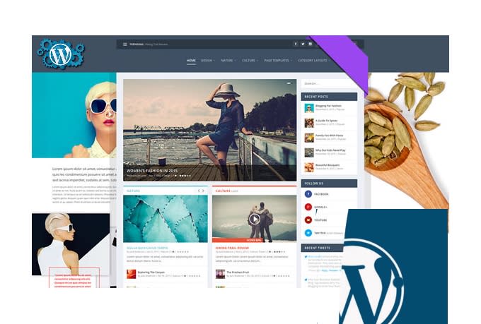 build premium responsive wordpress website design