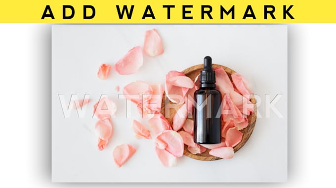 add watermark or remove background from 500 photos