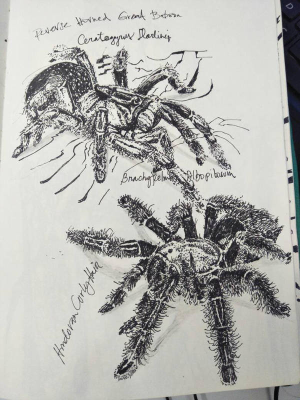 pencil sketch concept art