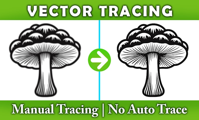 do vector tracing, vectorize logo, redraw, recreate in adobe illustrator