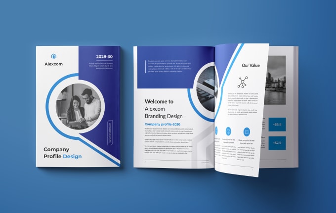 design a professional brochure or flyer