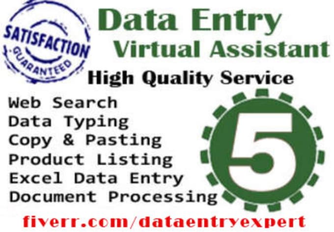 provide you data entry services as a virtual assistant