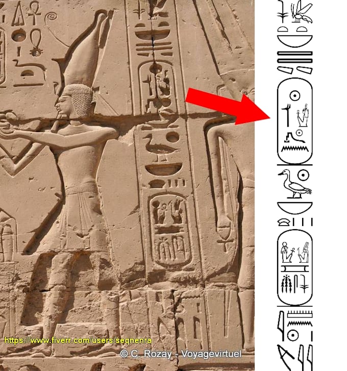 transcribe your hieroglyphic texts and write your name and more in hieroglyphics