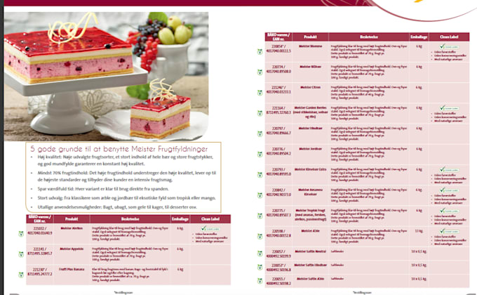 do catalog, magazine design professional business