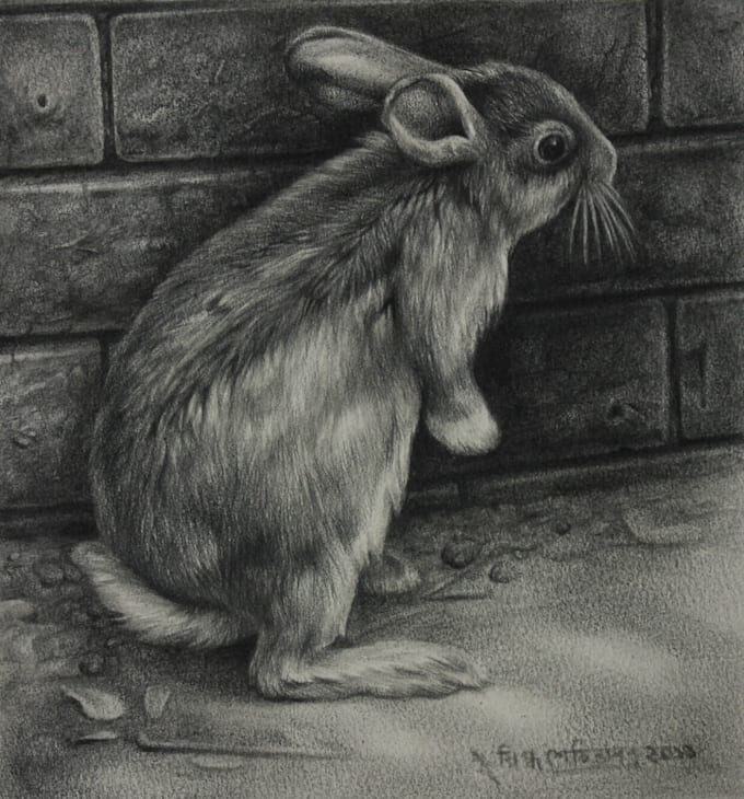 pencil and pen drawing and sketches