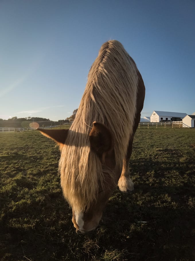 edit your gopro photos
