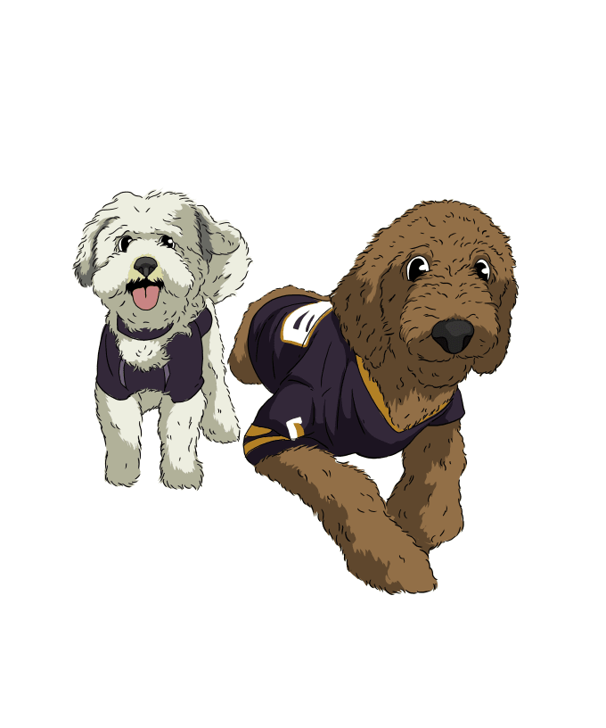 turn your pet into a teddy