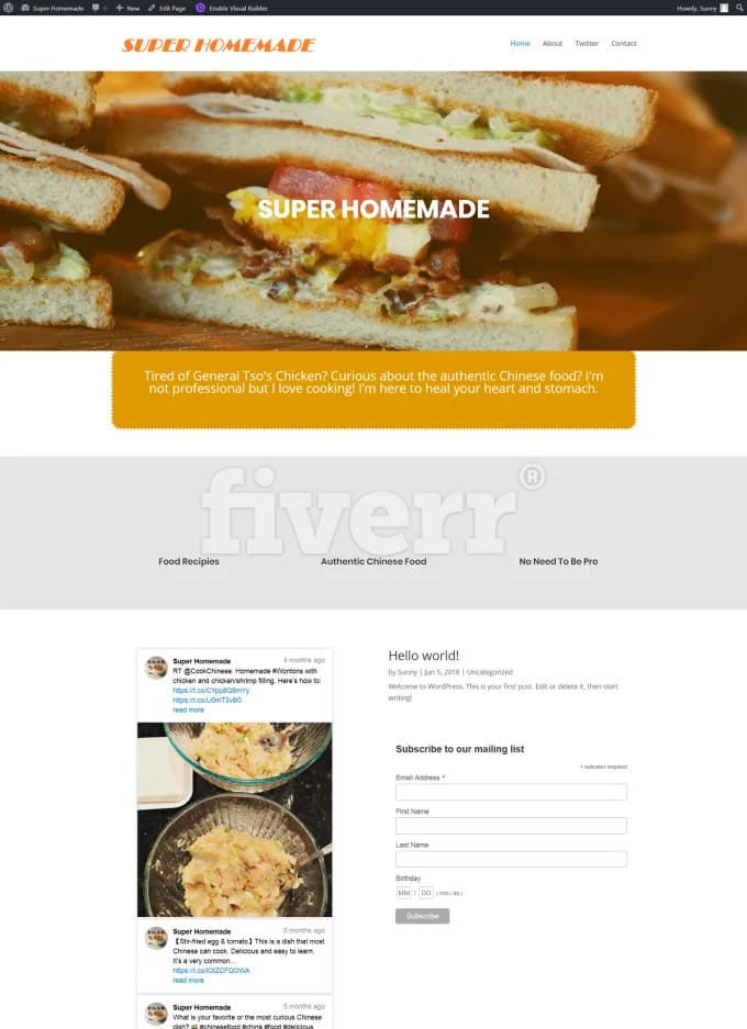 professional website design and web development