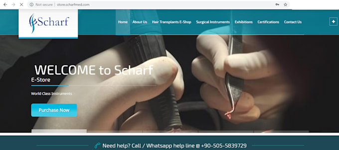 virtual assistant VA wordpress shopify joomla, product listing, updates monthly