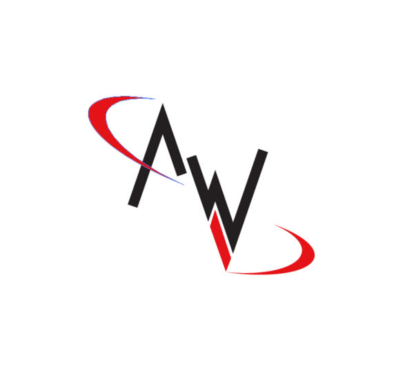 design a professional business logo design