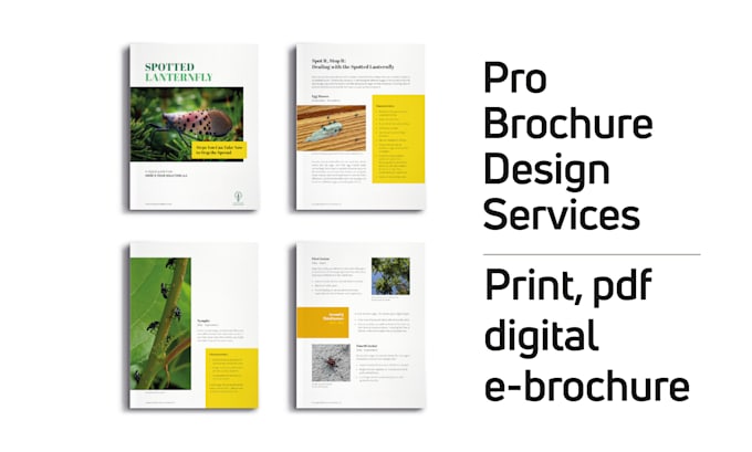 design PDF brochure print ready