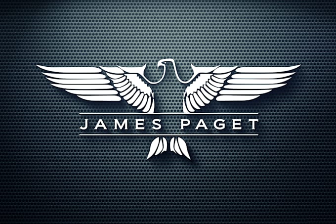 do quick and original logo design with unlimited revisions