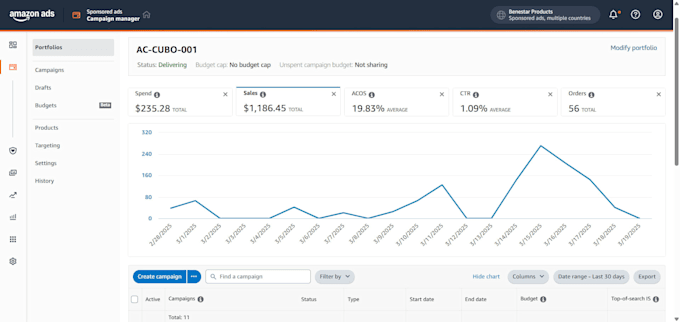 build and manage an amazon PPC strategy for your struggling product