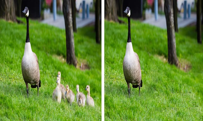 remove object or anything product image in photoshop