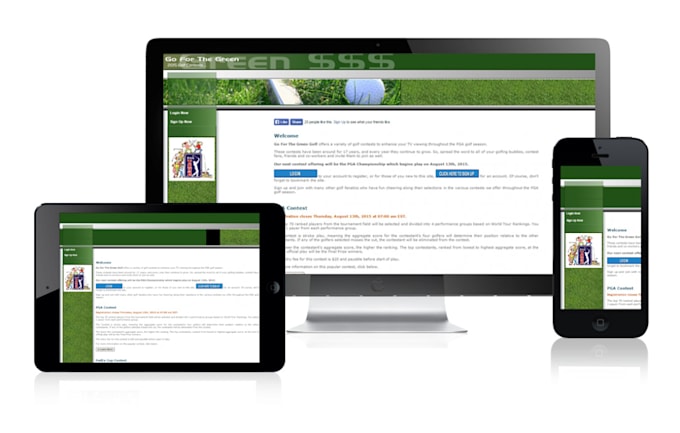 build responsive wordpress website design and blog