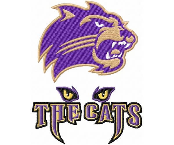 do 3d puff embroidery digitizing logo dst pes