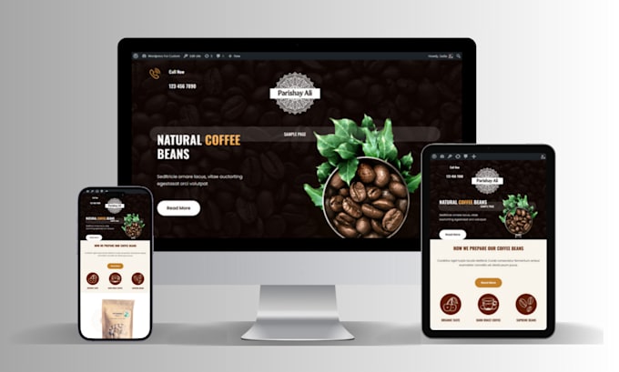 design or redesign and customize wordpress website