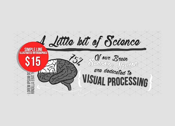 draw unique hand drawn infographic, charts, graphs