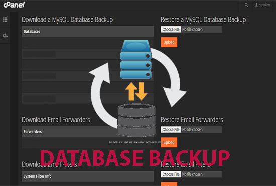 migrate or move wordpress website to new host and domain
