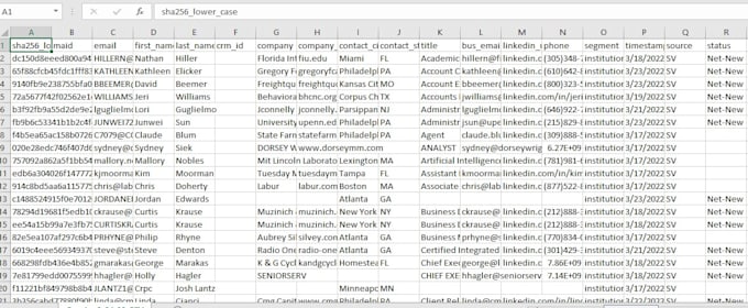 be your virtual assistant for data entry, web research, lead generation