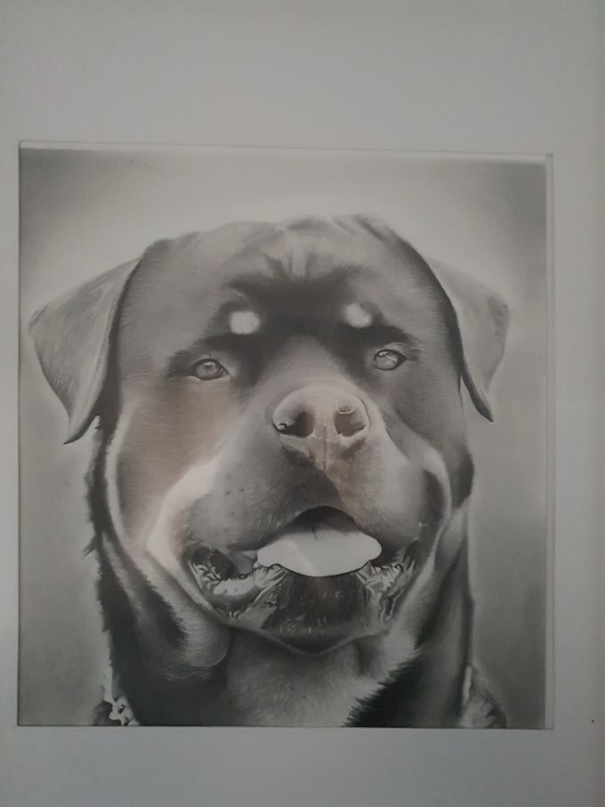 Do Realistic Graphite Pencil Drawings By Glenkarra