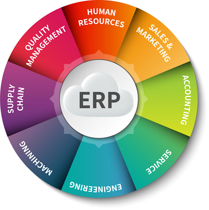 develop an erp solution for your company