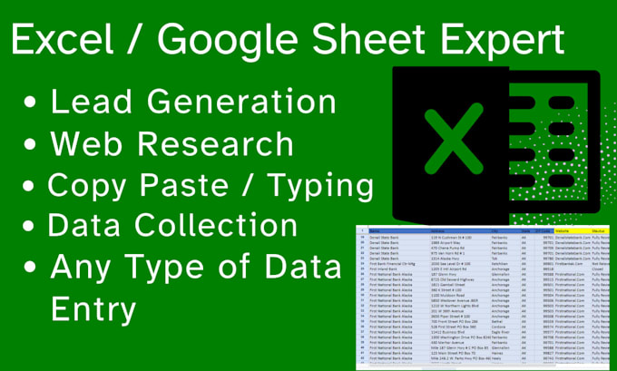do excel data entry and web research