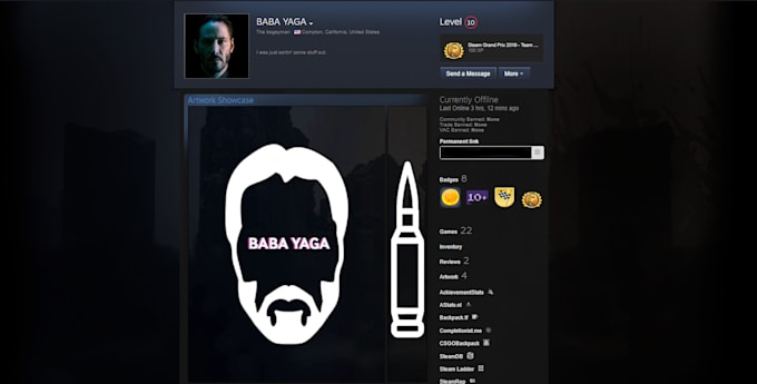 create a professional looking steam profile for you