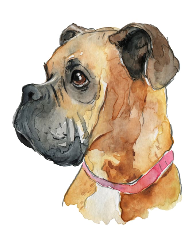 Paint a watercolor portrait of your pet by Forest_diver