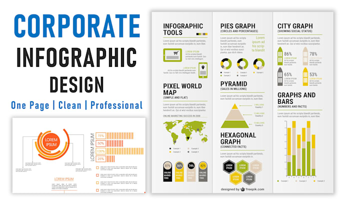create custom infographic charts and data visualization for your business