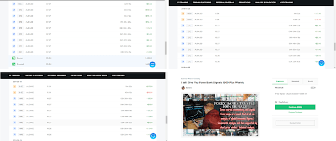 Give You Forex Bank Signals 150 To 250 Pips Weekly Guaranteed By