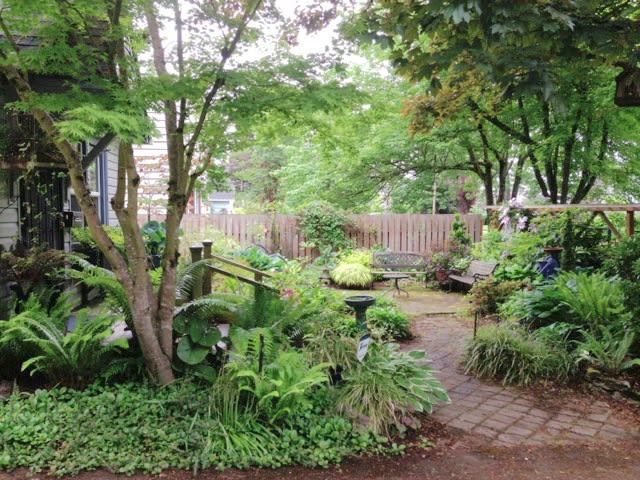 draw custom garden designs and detailed plant lists